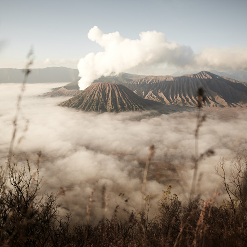 Love Hill - Bromo Photo Trip 