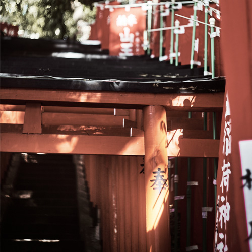 Shinto Shrine - Tokyo Photo Trip 